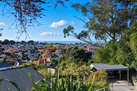 Photo of property in 112 Forbury Road, Saint Clair, Dunedin, 9012