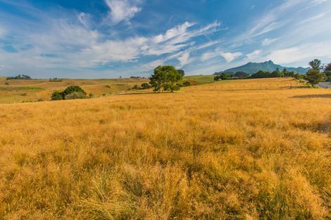 Photo of property in 81 Upper Wainui Road, Raglan, 3297