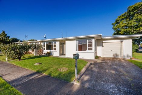Photo of property in 55 Windsor Street, Terrace End, Palmerston North, 4410