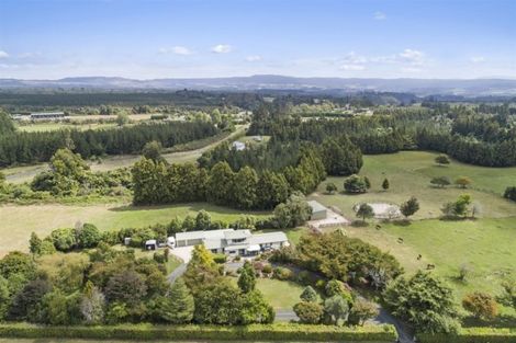 Photo of property in 1280 Omanawa Road, Omanawa, Tauranga, 3171