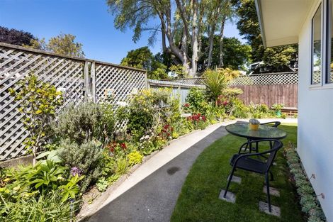 Photo of property in 7a Carr Street, Blenheim, 7201