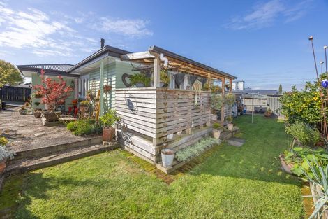 Photo of property in 69 Raeburne Street, Te Awamutu, 3800