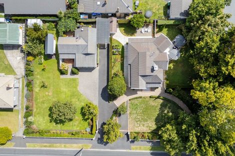 Photo of property in 31 Naylor Street, Hamilton East, Hamilton, 3216