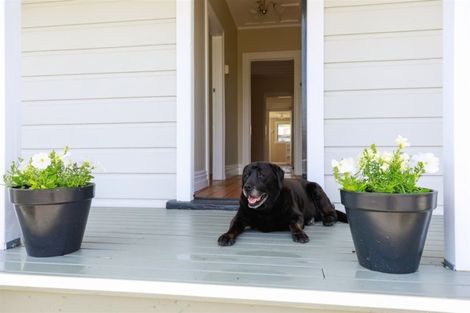 Photo of property in 102 Mackay Street, Thames, 3500