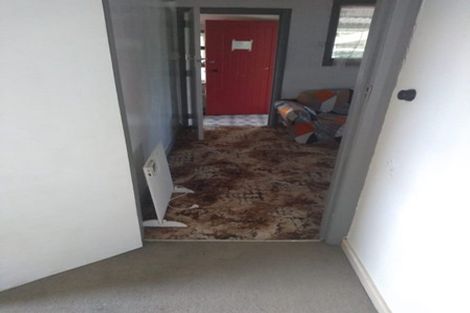 Photo of property in 14 Mcnally Road, Pukekohe, 2120