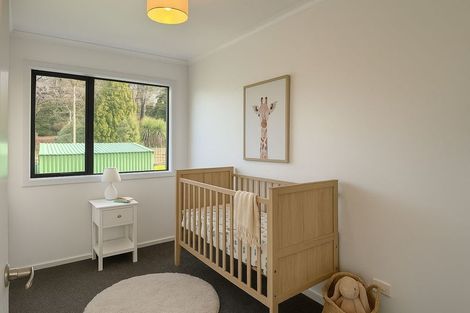 Photo of property in 37 Stromness Street, Palmerston, 9430