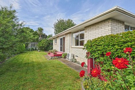 Photo of property in 3/7 Scannell Street, Havelock North, 4130