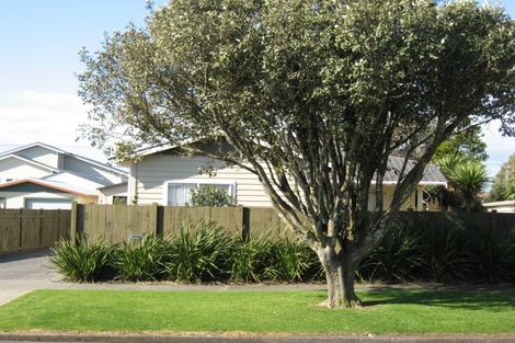 Photo of property in 17 Newton Street, Fitzroy, New Plymouth, 4312