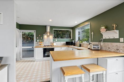 Photo of property in 36 Lagan Street, Belfast, Christchurch, 8051