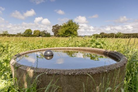 Photo of property in 398 Hallett Road, Otakiri, Whakatane, 3192