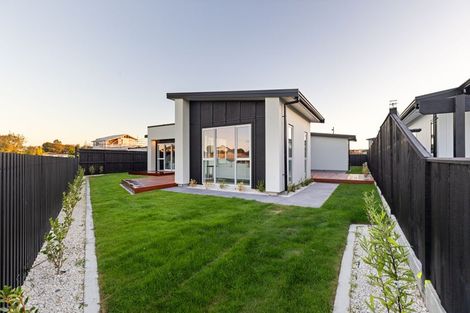 Photo of property in 20 Mangatainoka Lane, Awapuni, 4412