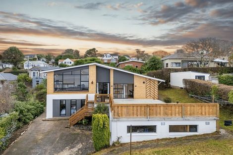 Photo of property in 21a Michie Street, Belleknowes, Dunedin, 9011