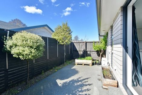 Photo of property in 51b Grafton Street, Waltham, Christchurch, 8011