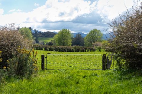 Photo of property in 100 Franklin Road, Waihi, 3682