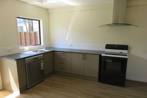 Photo of property in 145 Canon Street, Edgeware, Christchurch, 8013