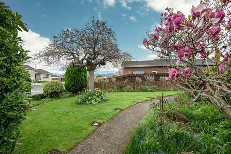 Photo of property in 93 High Street, Mosgiel, 9024