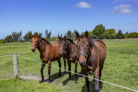 Photo of property in 234 Giles Road, Kaiapoi, 7692
