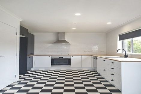 Photo of property in 55 Carey Street, Maeroa, Hamilton, 3200