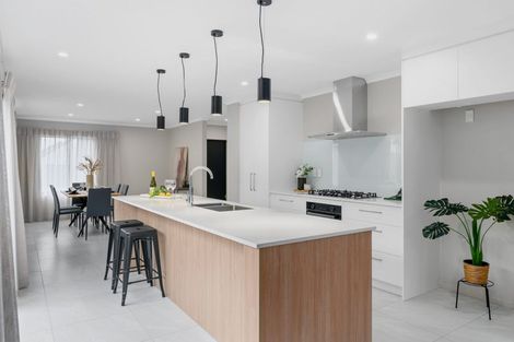 Photo of property in 21 Musselwhite Terrace, Chartwell, 3210