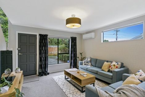 Photo of property in 24f1 Akatea Street, Berhampore, Wellington, 6023