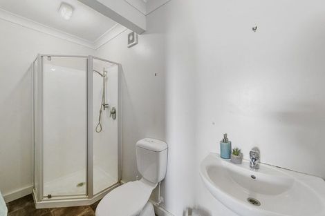 Photo of property in 43 Overtoun Terrace, Hataitai, Wellington, 6021