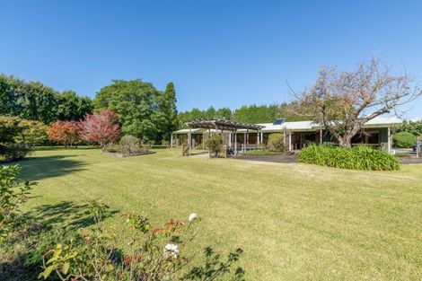 Photo of property in 299 Beach Road, Katikati, 3178