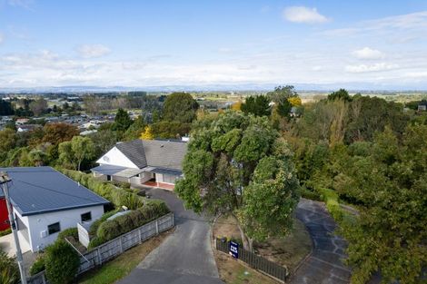 Photo of property in 19 Windsor Terrace, Feilding, 4702