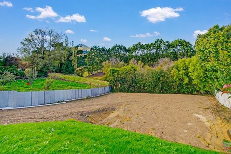 Photo of property in 78 Ronaldsay Street, Palmerston, 9430