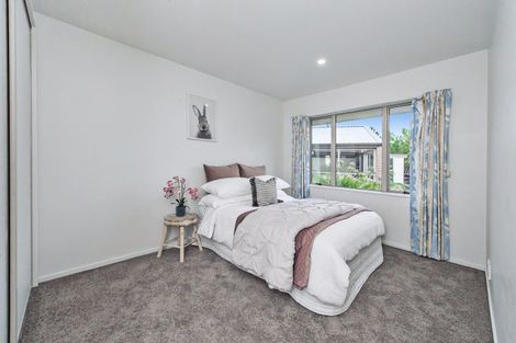 Photo of property in 234 Giles Road, Kaiapoi, 7692