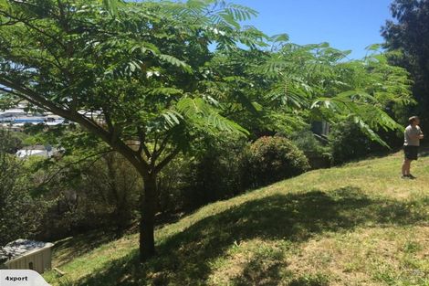 Photo of property in 44a Maire Street, Tahunanui, Nelson, 7011