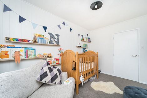 Photo of property in 17 Alexander Street, Awapuni, Palmerston North, 4412