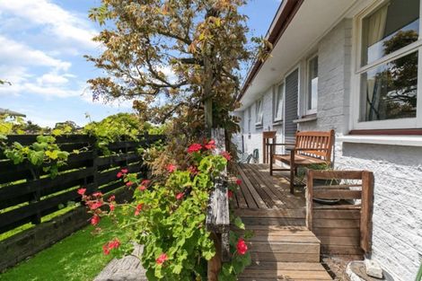 Photo of property in 14 Sunnyhills Avenue, Glenview, Hamilton, 3206