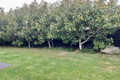 Photo of property in 46 Bryndwr Road, Fendalton, Christchurch, 8052