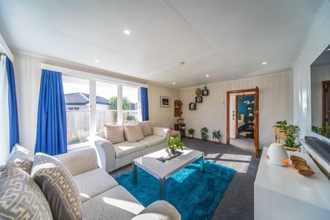 Photo of property in 16 Leicester Street, Terrace End, Palmerston North, 4410