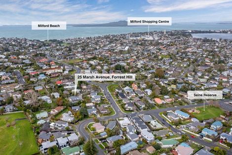 Photo of property in 25 Marsh Avenue, Forrest Hill, Auckland, 0620