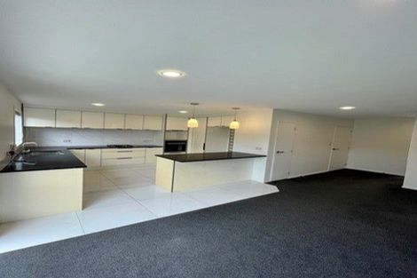 Photo of property in 208u2 Killarney Road, Frankton, Hamilton, 3204
