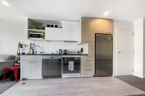 Photo of property in Vsp South, 505/166u Victoria Street, Te Aro, Wellington, 6011