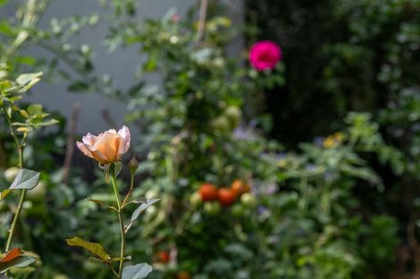 Photo of property in 52 Rayner Road, Huntly, 3700