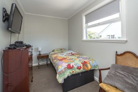 Photo of property in 22 Princess Street, Martinborough, 5711
