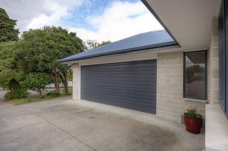 Photo of property in 12c Giesen Road, Feilding, 4702
