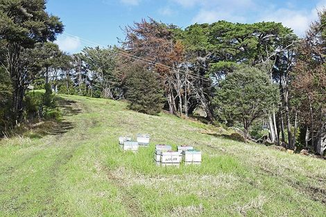 Photo of property in 99 Birdsall Road, Whangateau, 0985