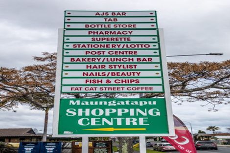 Photo of property in 141c Maungatapu Road, Maungatapu, Tauranga, 3112