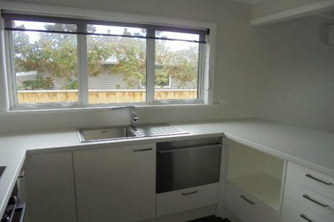 Photo of property in 19 Hannan Street, Levin, 5510