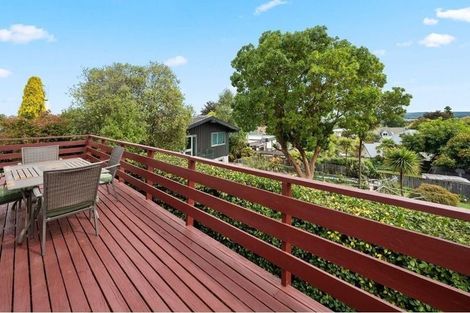 Photo of property in 67 Henry Hill Road, Taupo, 3330