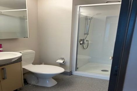 Photo of property in Dual Apartments, 108/142u Vivian Street, Te Aro, Wellington, 6011