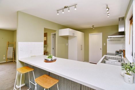 Photo of property in 42/a Ward Street, Addington, Christchurch, 8024