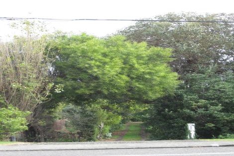 Photo of property in 245 Rosetta Road, Raumati Beach, Paraparaumu, 5032
