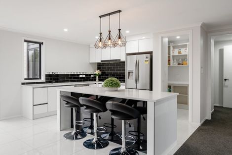 Photo of property in 48 Meachem Road, Chartwell, Hamilton, 3210