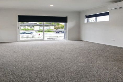 Photo of property in 55 Carey Street, Maeroa, Hamilton, 3200