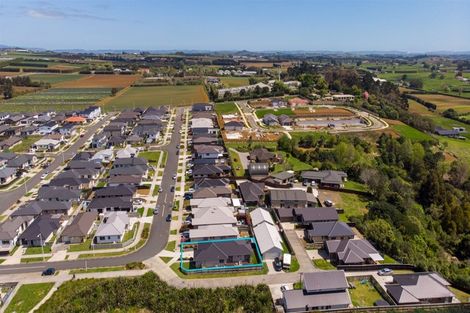 Photo of property in 48 Huamanu Street, Pukekohe, 2120